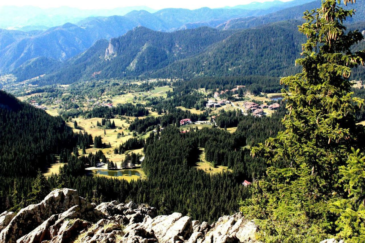 Pamporovo Hotel Snezhanka A425 외부 사진