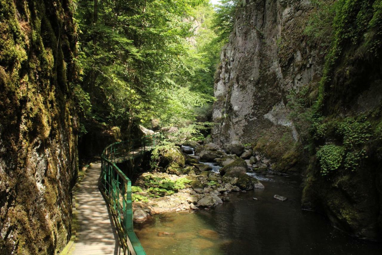 Pamporovo Hotel Snezhanka A425 외부 사진