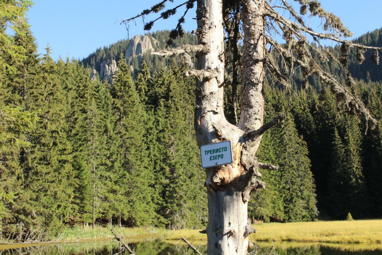 Pamporovo Hotel Snezhanka A425 외부 사진
